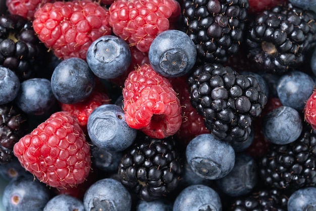 fresh assortment berries background