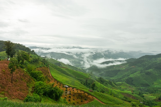 Fresh atmosphere after rain.