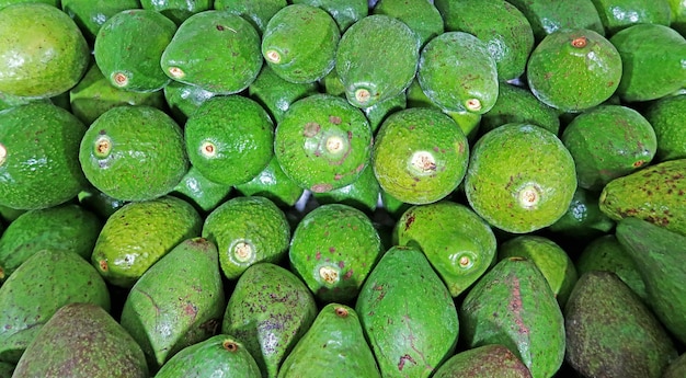 fresh avocado fruits on top view as background