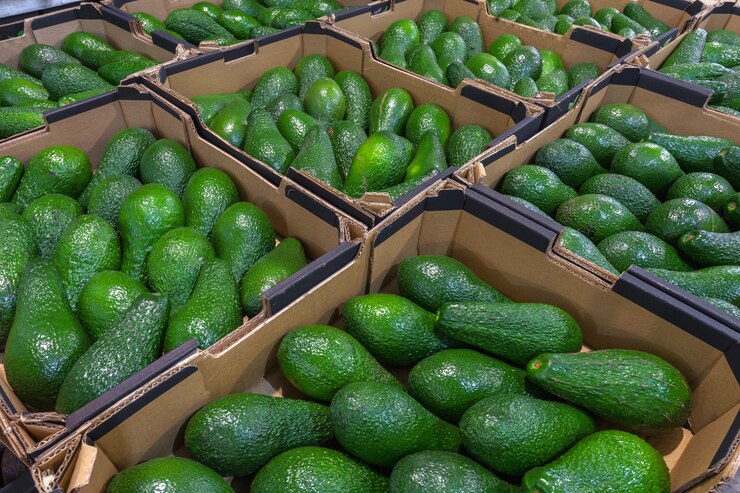 野菜市場のトップビューの新鮮なアボカド。健康食品のコンセプト。高品質の写真