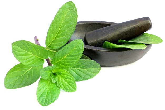 Le foglie di menta ayurvedica fresca con mortaio vintage hanno proprietà medicinali