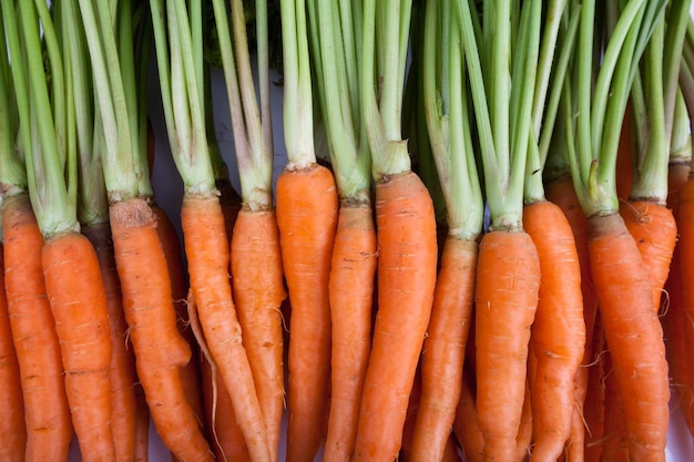 Fresh baby carrots