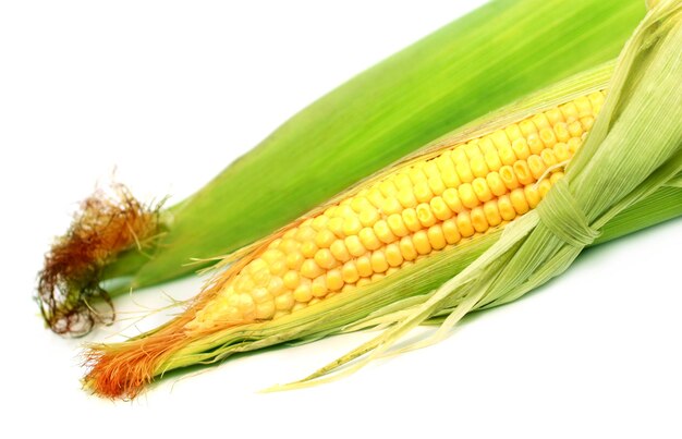 Fresh baby corns over white