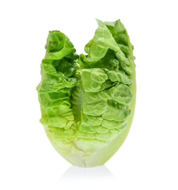 Fresh baby cos lettuce isolated on white