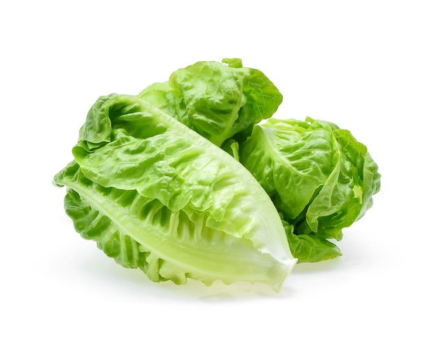 Fresh baby cos (lettuce) isolated