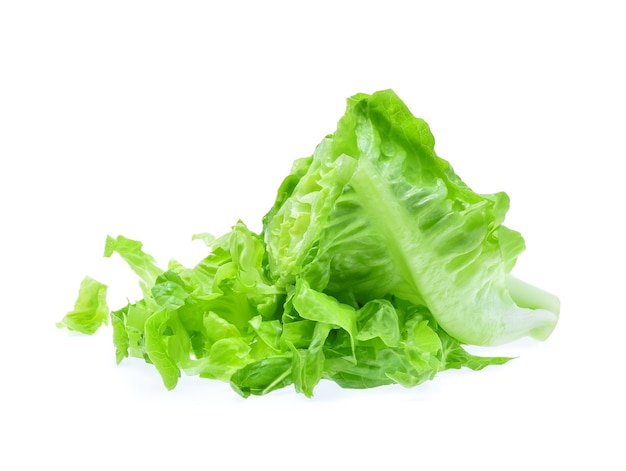 Fresh baby cos (lettuce) on white background