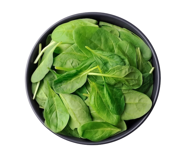 Fresh baby spinach leaves on plate isolated