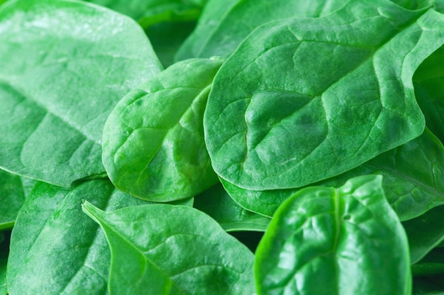 Fresh baby spinach leaves