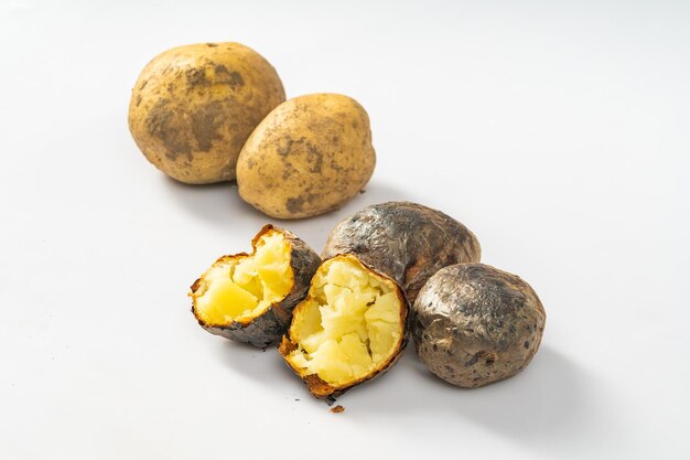 Fresh baked potatoes on a plain white background