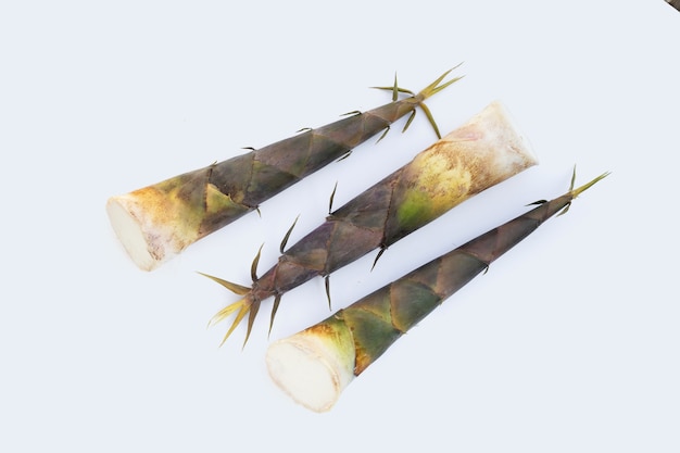 Fresh bamboo shoots white background.