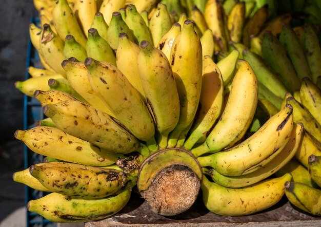 Fresh bananas on traditional market in Yogyakarta Indonesia