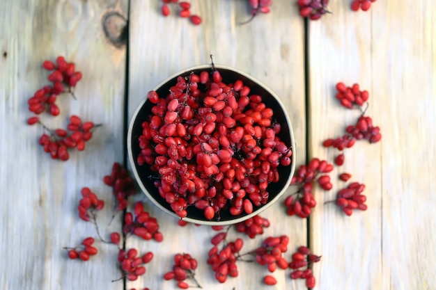 Fresh barberry in a bowl. Red berries of barberry.