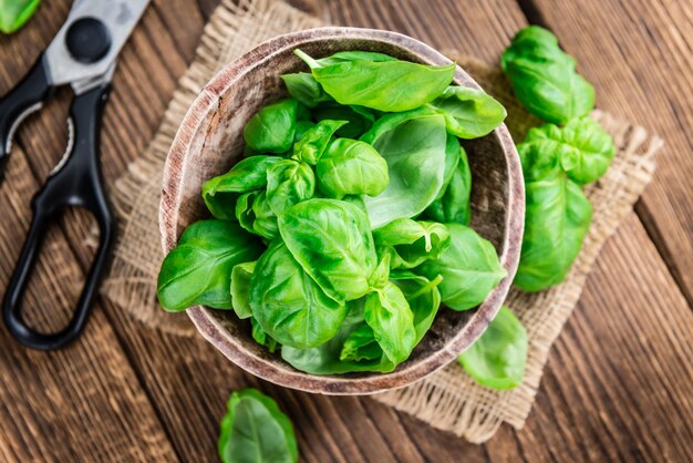 Fresh Basil closeup shot