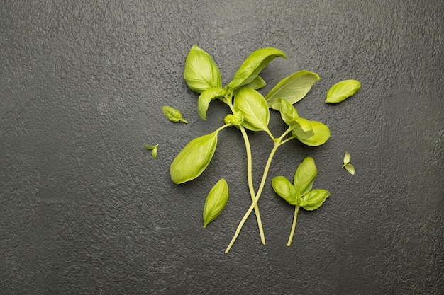 Fresh basil on a dark background top view flat lay healthy food composition harvest concept