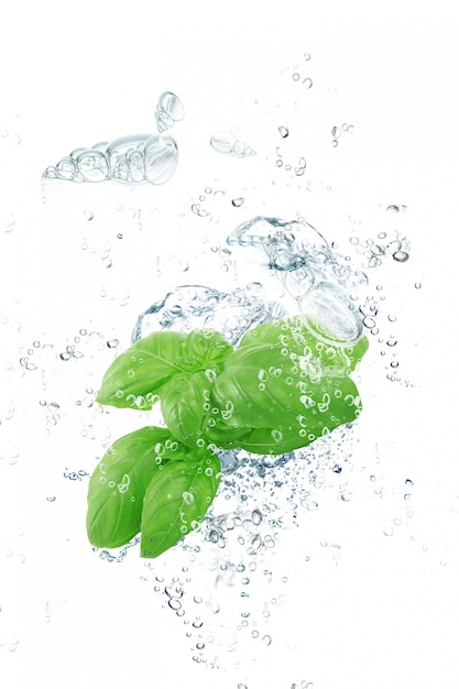 Fresh basil falling in water