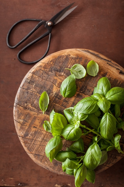 Photo fresh basil herb on brown table