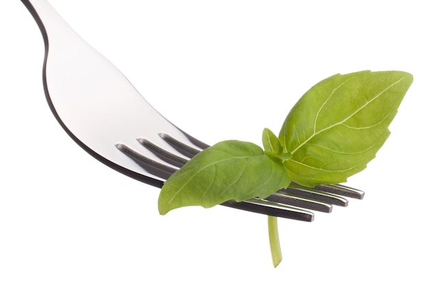 Fresh basil leaf on fork isolated on white background cutout Healthy eating concept