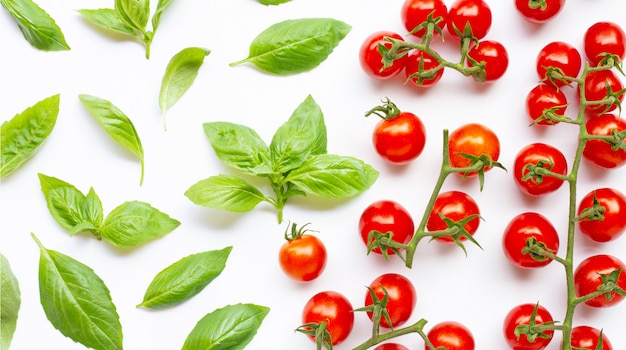 Fresh basil leaves with cherry tomatoes on white background. 