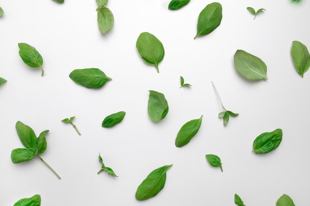 Fresh basil set isolated on white background top view