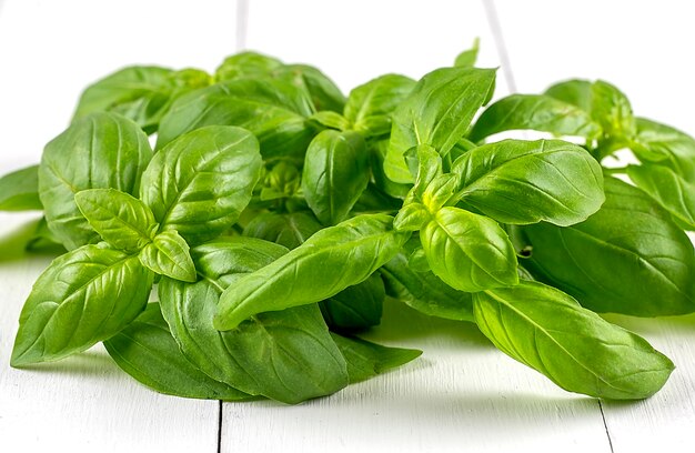 Fresh basil on the white wooden background