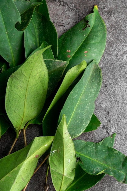 Fresh Bay Leaves isolated on dark background For seasoning herb