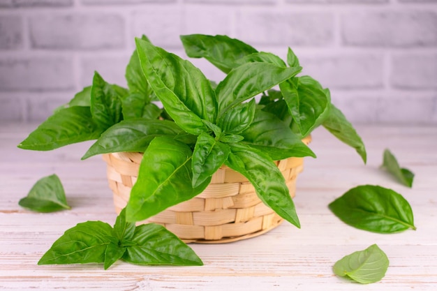 Fresh bazeliou in a small basket on a white background.