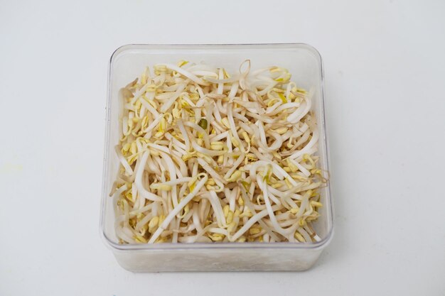 Fresh bean sprouts inside plastic container