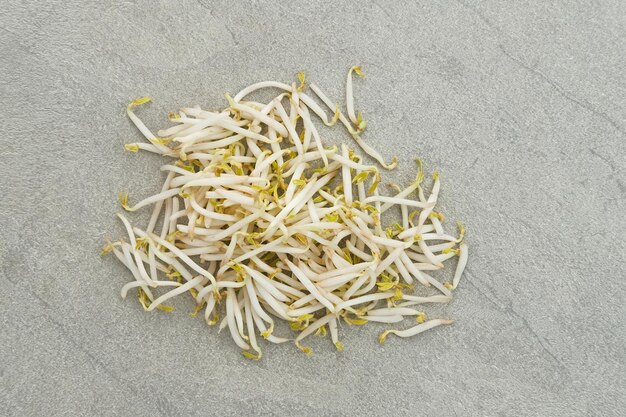 Fresh bean sprouts or tauge ready to cook isolated on grey background Selected focus