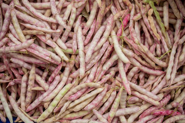 Fresh beans in sacks in the view