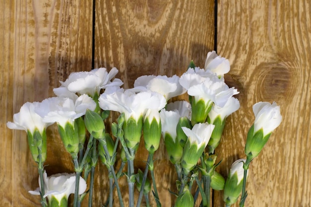 Fresh beautiful bright white carnations on a dark wooden textured background closeup