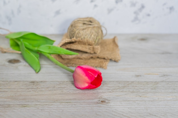 Fresh beautiful pink tulip with a rope on a wooden table with copy space.