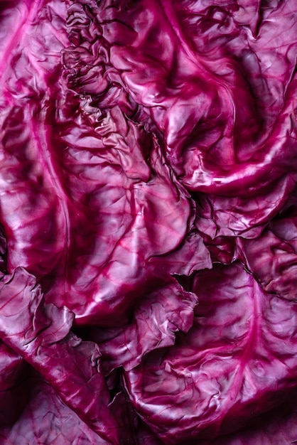 Fresh beautiful red cabbage with textured leaves on a dark concrete background Vegetarian cooking