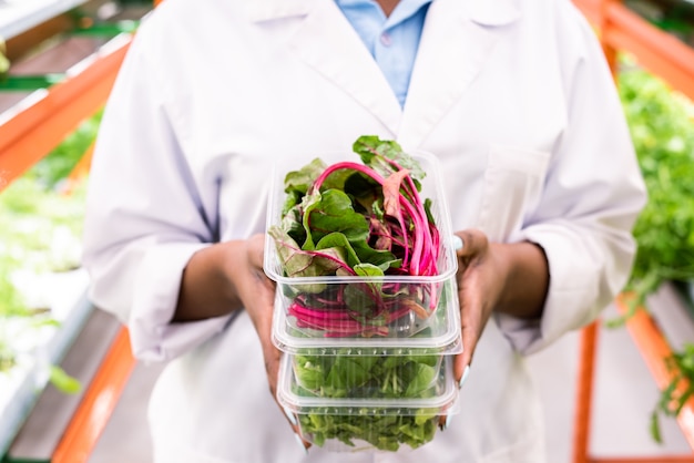 Fresh beet leaves in plastic container on top of stack held by young African female agronomist in whitecoat