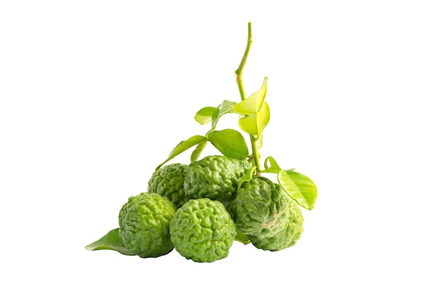 Fresh bergamot fruit isolated on white background with clipping path