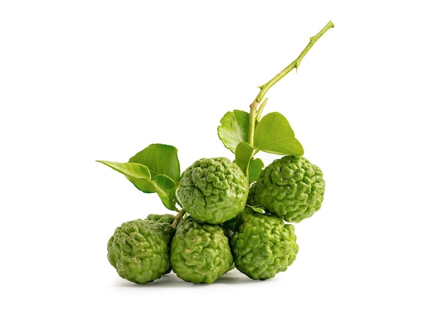 Fresh bergamot or kaffir lime with leaf isolate on white background with clipping path vegetable herb for cooking and health