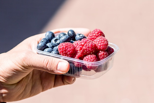 Fresh berries are packed in trays