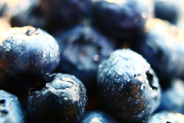 fresh berries blueberries closeup scattered