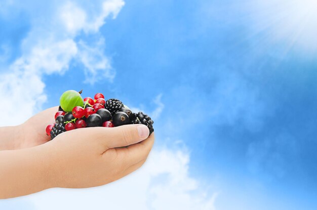 Fresh berries in children's palms against the background of a bright blue sky