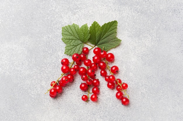 Fresh berries red currants on gray table with copy space.