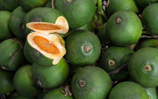 fresh betel nut or areca catechu