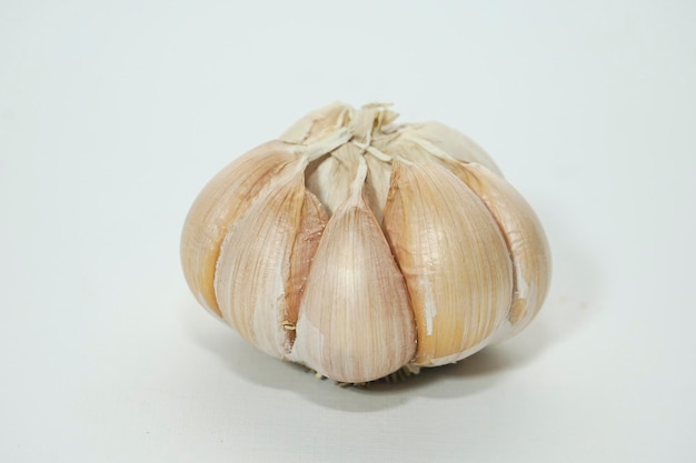 fresh big garlic isolated on white background