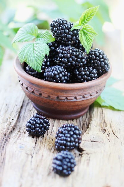 Fresh big juicy blackberries in a bowl