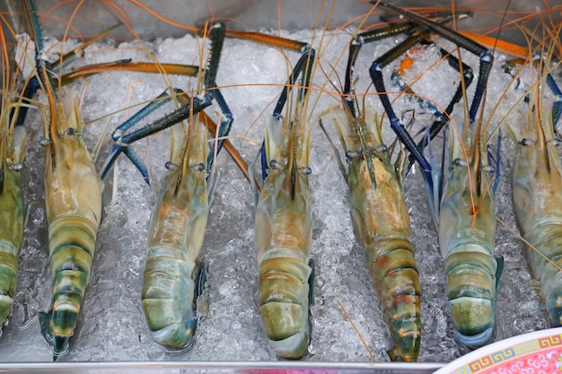 Fresh big river prawn on ice