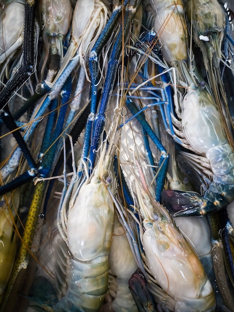 Fresh big shrimp/prawn in the market.