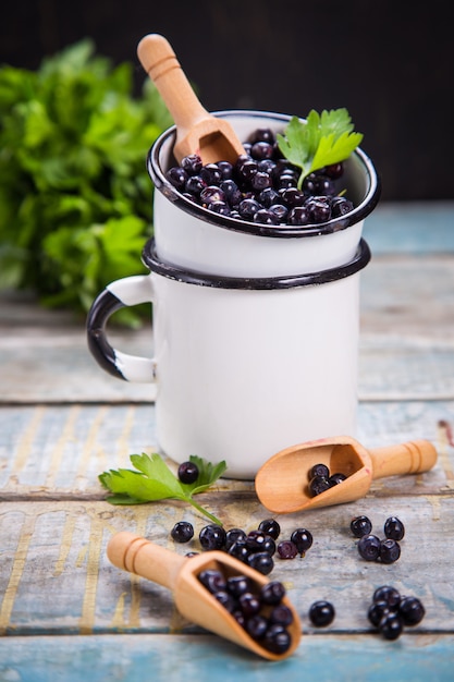 Fresh bilberry in cup