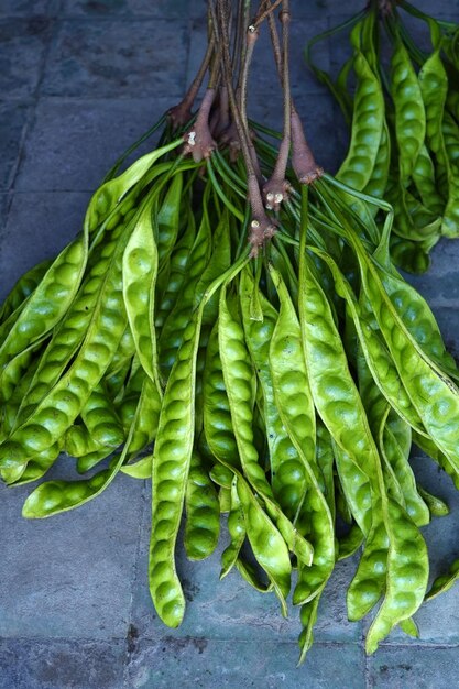 Photo the fresh bitter bean or parkia speciosa