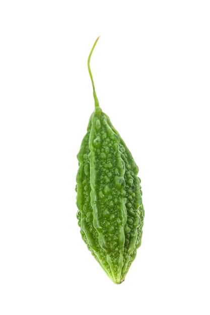 Fresh bitter gourd on white background.