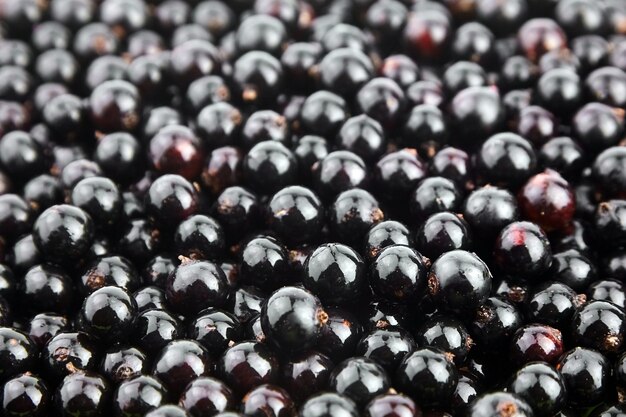 Fresh black currant berries closeup