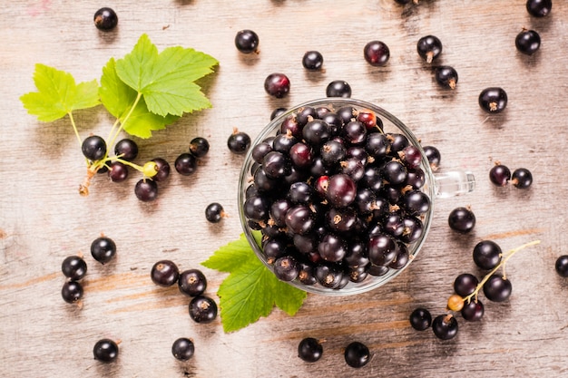 Ribes nero fresco nella tazza e foglie su una tavola di legno. vista dall'alto