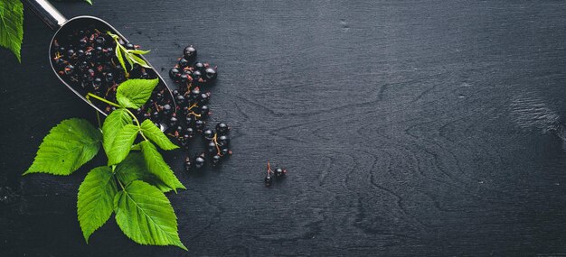 Fresh black currants on a wooden background. Top view. Free space.